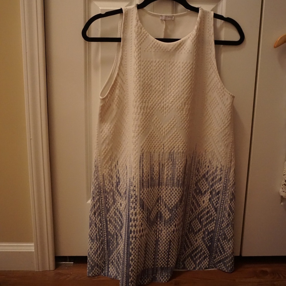 Zara dress